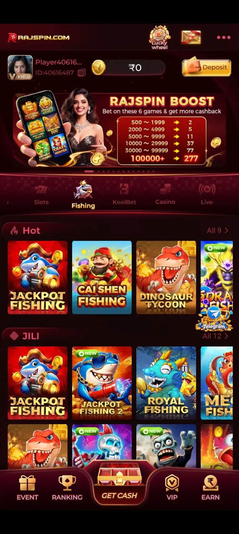 RAJSPIN Game interface
